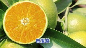 全面解析：金桔普洱茶的功效与作用及禁忌