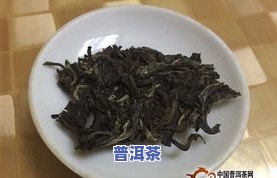 普洱茶春季新闻-普洱茶 新闻