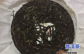 普洱茶春季新闻-普洱茶 新闻