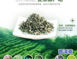 茶叶长毛了怎么处理好？如何解决茶叶发霉问题？从源头抓起，预防为主，科学存储茶叶。首先，要及时清理掉已经发霉的茶叶；其次，要注意保持茶叶的干燥环境，避免潮湿；再者，要定期检查茶叶的状态，及时发现并处理可能的问题。总的来说，茶叶长毛了可以通过清理、防潮、定期检查等方法进行处理，以保证茶叶的质量和口感。