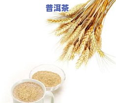 碧海银针普洱茶-碧海银针250克现在价格