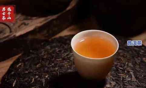 普洱茶古道视频详细介绍：探索千年茶路的历史与文化