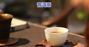 普洱茶古道视频详细介绍：探索千年茶路的历史与文化