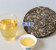 经久普洱茶-茶经 普洱茶