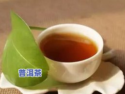 茶叶干了怎么办？快速让茶叶变软、泡开的小妙招！