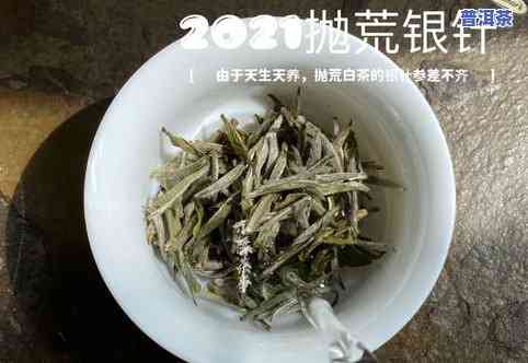 茶叶干了怎么办？快速让茶叶变软、泡开的小妙招！