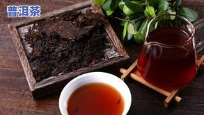 云南普洱古道熟茶：价格、厂家与茶庄全解析