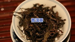 普洱茶变异品种大全：图片与介绍