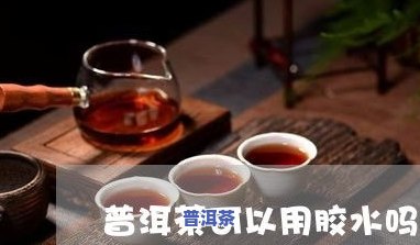 普洱茶调饮茶推荐哪种茶叶-普洱茶调饮茶推荐哪种茶叶好