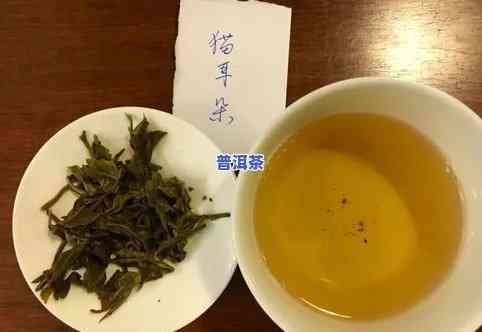 普洱茶变异-普洱茶变异品种