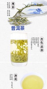 普洱茶变异-普洱茶变异品种