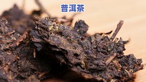 发霉的茶叶怎么解决-发霉的茶叶怎么解决,还能喝吗