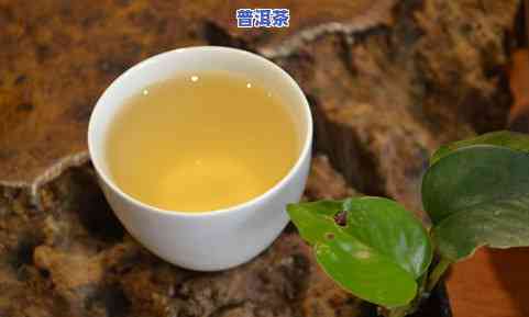 百年老普洱茶的价格是多少？一斤价值多少？