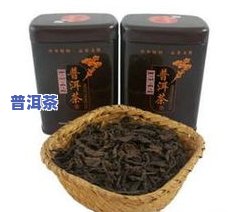 百年老普洱茶的价格是多少？一斤价值多少？