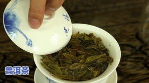 庄浪普洱茶-庄陈普洱生茶价格