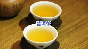 庄浪普洱茶-庄陈普洱生茶价格