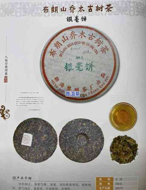 肇庆高端普洱茶饼厂家电话号码是多少？查询及茶叶信息一网打尽！