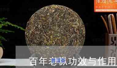 百年普洱茶的功效与作用：详解其益处、禁忌与图片展示