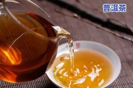 普洱茶放多少合适？每日饮用量及茶叶用量解析