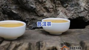 清雅普洱茶价格-清雅普洱茶价格表