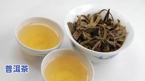 莓茶和普洱茶能一起泡水喝吗？功效、女性、孕妇适用，哪个更好？