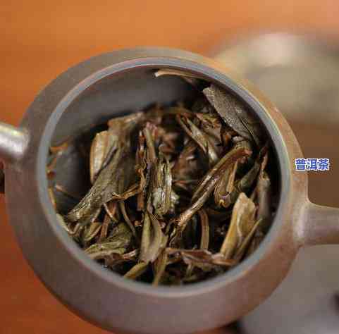 什么壶型最适合泡熟普洱茶？