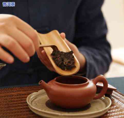 什么壶型最适合泡熟普洱茶？