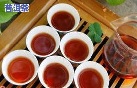 排名普洱茶-普洱茶 排名