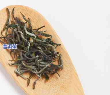 所有的茶叶都来自同一种茶树？绿茶只是其中一种吗？