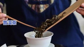 普洱茶理化检测-普洱茶理化检测方法