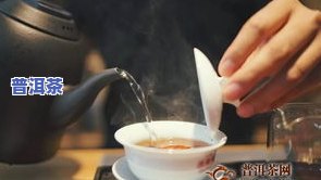 涿州普洱茶-保定普洱茶