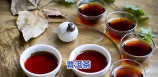 普洱茶归于什么茶类？详解其所属茶种与类别