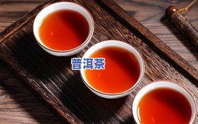 普洱茶归于什么茶类？详解其所属茶种与类别