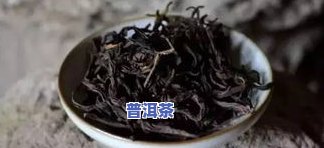 普洱茶归于什么茶类？详解其所属茶种与类别