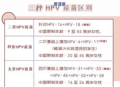 芳村茶叶最新报价：一网打尽！查询、比较、购买全在此！