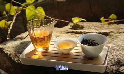 普洱茶：煮还是泡？探讨两种冲泡方式的优缺点