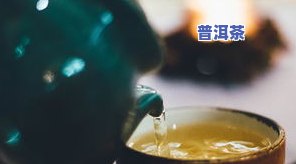 茶叶有虫怎么办？了解原因及处理方法，确保安全饮用