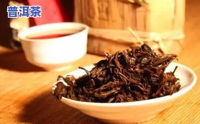 普洱茶一次放茶喝一天-普洱茶一次放茶喝一天可以吗