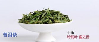 早春一号茶叶：早春茶叶价格、新茶上市时间与价格一览