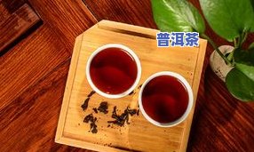 茶叶有虫蛀还能喝吗？答案在这里！