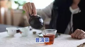 茶叶有了虫子还能喝吗？探讨其安全性和作用因素