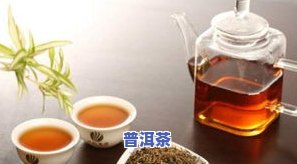 早春茶的价格与种类全解析：早春茶是什么茶，属于哪种茶？早春茶有哪些品种及用途？