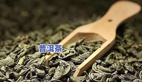 茶叶有虫蛀怎么解决-茶叶有虫蛀怎么解决好