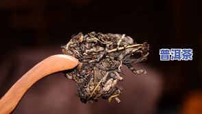 老藤普洱茶-老藤条普洱茶