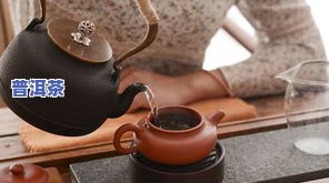 老藤普洱茶-老藤条普洱茶