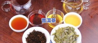 冬天普洱茶：生茶或熟茶？熟悉其好处、功效与作用