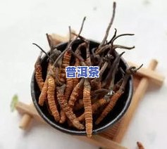 茶叶有竹虫怎么处理干净？竹筒茶长虫子怎么办？茶叶里有茶虫如何解决？