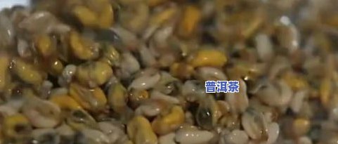 茶叶有竹虫怎么处理掉？竹筒茶长虫子怎么办？