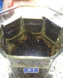 茶叶里有茶虫？怎样彻底解决？