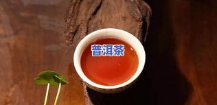 熟普洱茶含有哪些成分？功效与禁忌全面解析